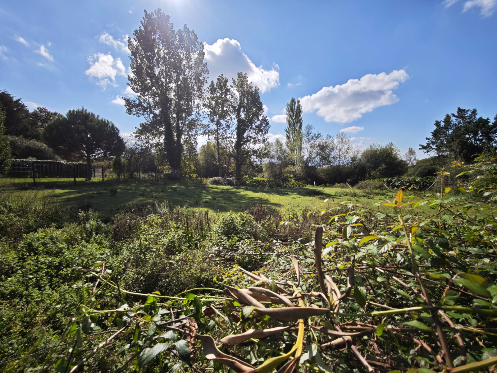 Troisième photo